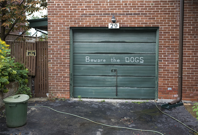 Beware the DOGS