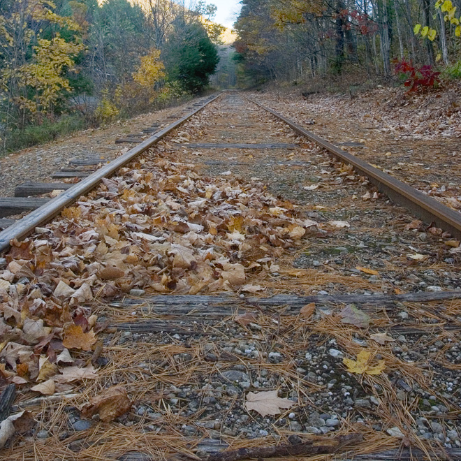 Train tracks beside the Otter