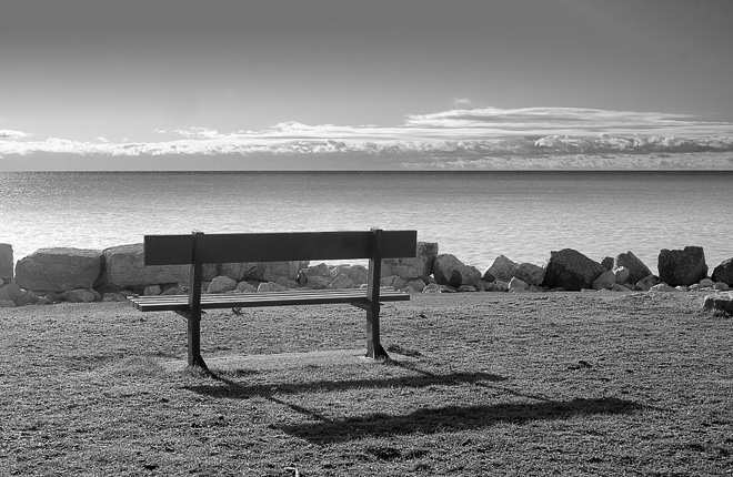 Park Bench