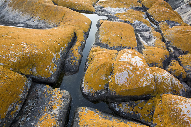 Rock Patterns on North Fox Island