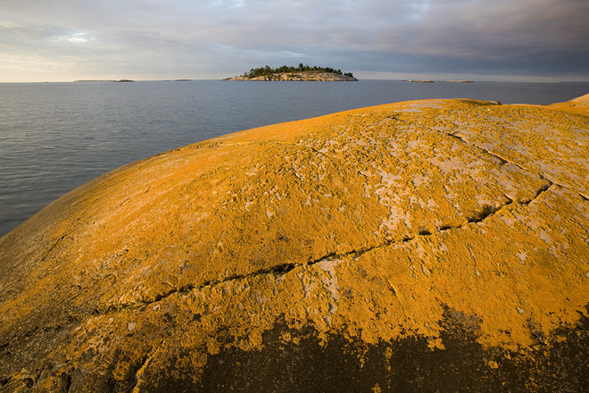 Lichen Covered Rock