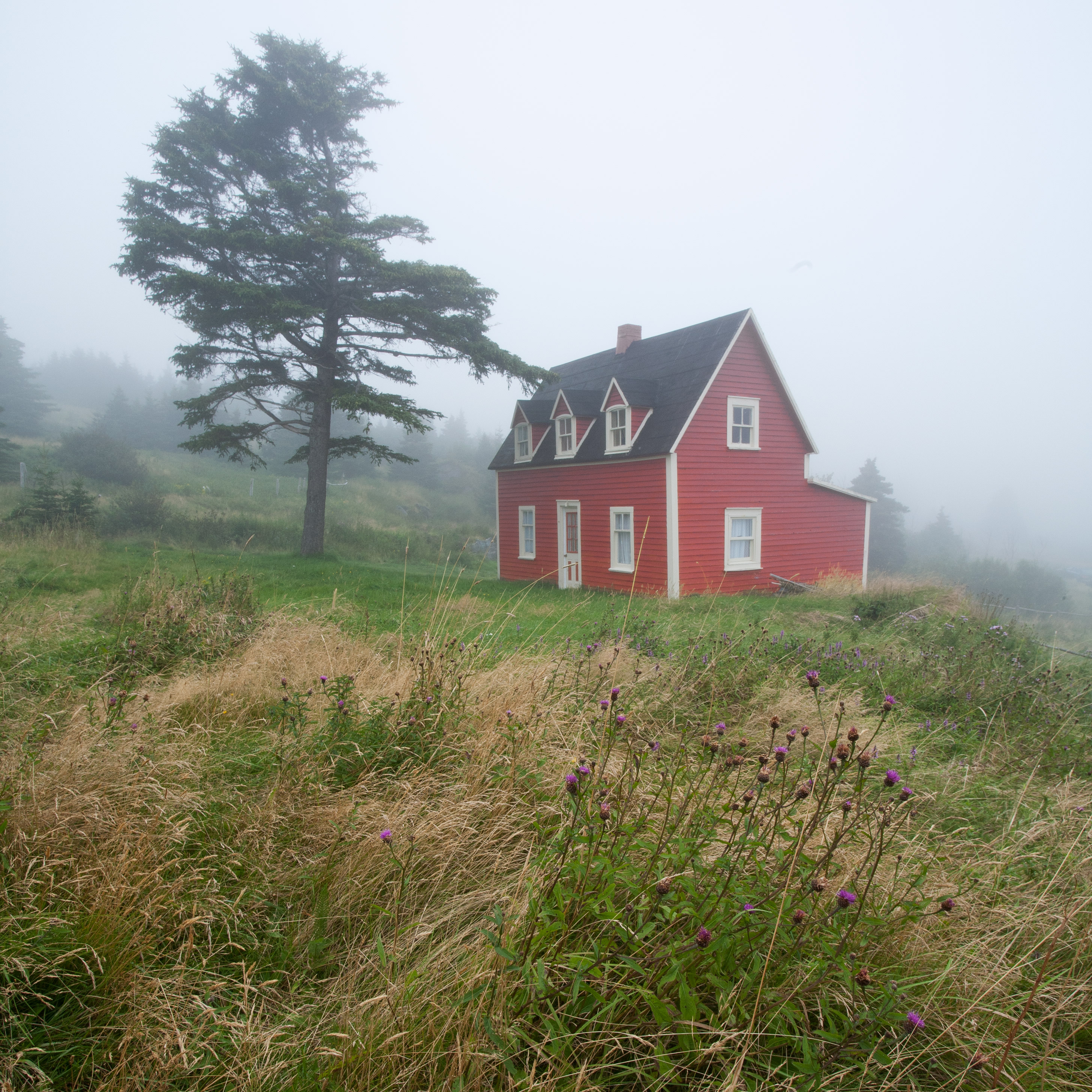 Red House at Tors Cove