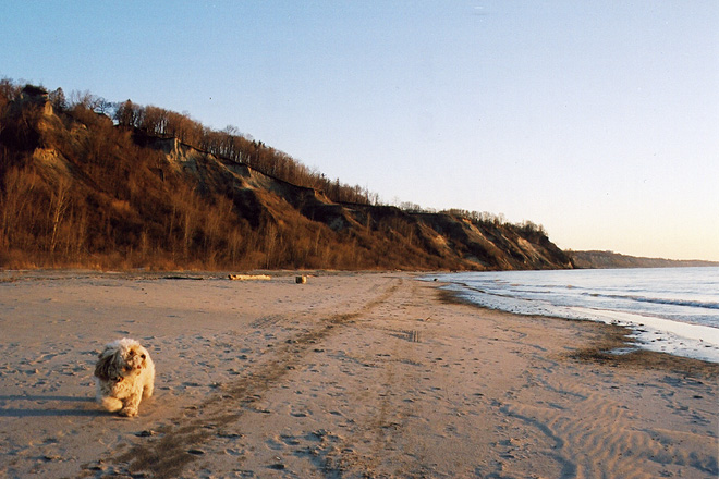 Satchmo down at the Bluffers Park beach.
