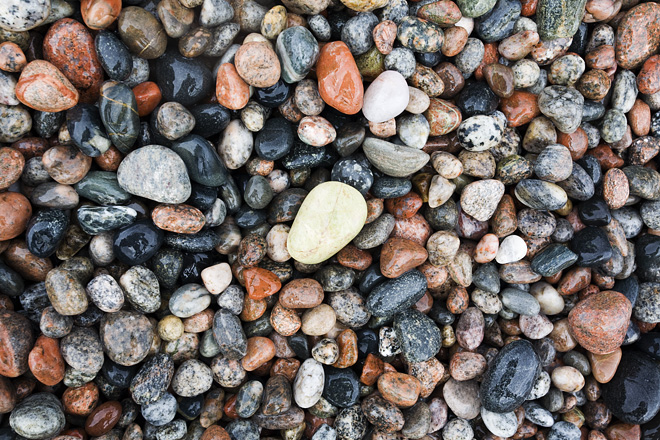 Coloured Rocks on the Orphan Lake Trail